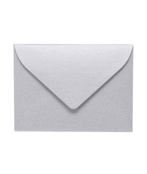 Mini Envelope/Business Card Holder - Silver